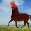 THE ultimate chicken horse