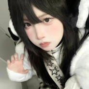 我养的猫不爱我