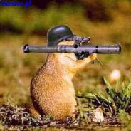 `Cone[X]'Slota. New Sour. Mx RE