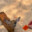 Go to player's stats Convex avatar