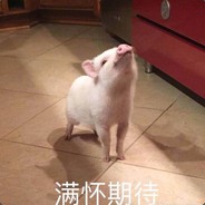 一杯敬过往一杯敬明天