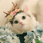 小陈小陈一不留神