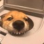 一只胡萝卜