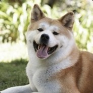 ХАТИКО