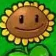 后院40岁离婚带俩阳光