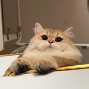 太阳太阳你在哪