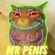 Mr.Penis