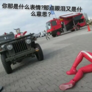 布耶尔狸花猫版吉普车