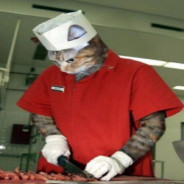 CatMan