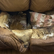 Lacey Fletcher Casting Couch