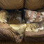 Lacey Fletcher Casting Couch