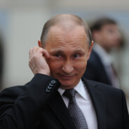 神农说好菜，伯乐说好