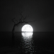 я хуже тебя