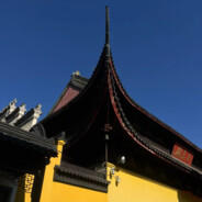 山有扶苏，隰有荷华