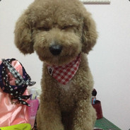 尼姑洗发用沙宣