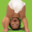 diaper