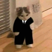 Gatovolador24
