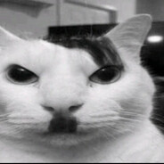 M0ttAn
