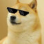 dogesgames