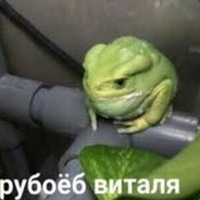трубоеб виталя avatar