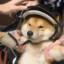 nnxy