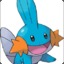 Mudkip Man