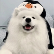 碎片西のjack＆rose