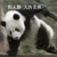 白给小天才