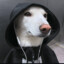 「𝙂:𝙎」el fokin maik