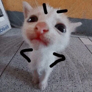 писивтыкатель avatar
