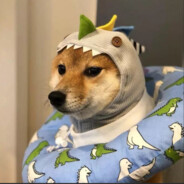 拿冻鱼的高启盛