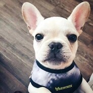 三上悠亚爱上你