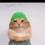 Душистый горошек