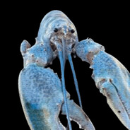 mokrySzop_Skins.army