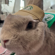 仔仔仔仔仔仔仔