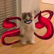 трухлявая шалава