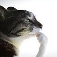 007 avatar