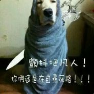 仇敌三千寂寞雪