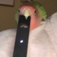 bongsausage - steam id 76561198835243322