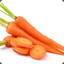 Karottenschuh