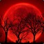 BloodMoon