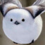 borb