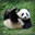 ItalianPandaKon