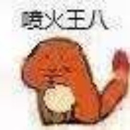 三十岁离异带俩喷火王八