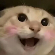 哈基米南北绿豆