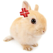 Femme Bunny Gaming