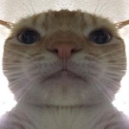 CutiePatootie