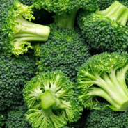 BroccoCop avatar