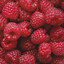 Hochy_maliny