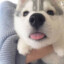 hermlem